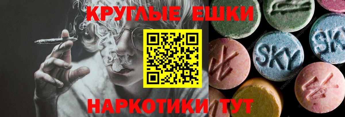 Экстази Philipp Plein  Экстази Punisher  Экстази  Вход с VPN  Норильск 