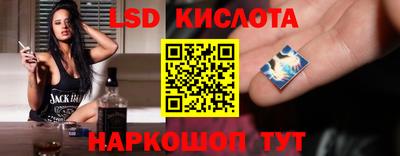 гашик Тулун