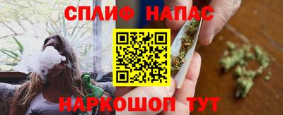 гашик Тулун